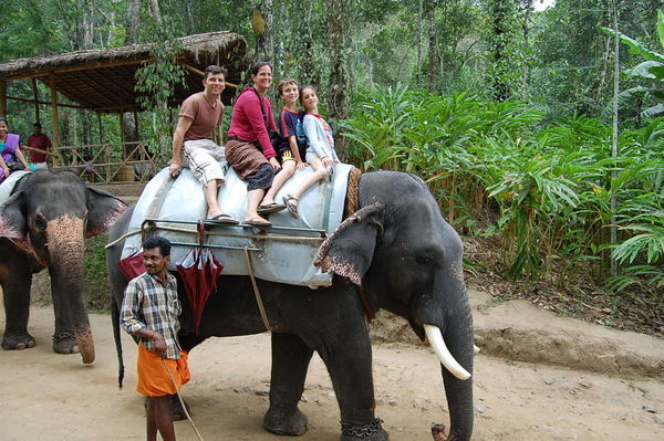 1256902-Elephant-ride-near-Thekkady-0