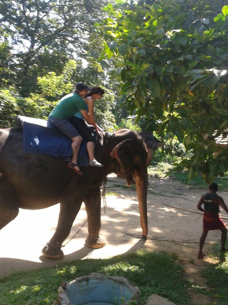 497945030_3528747157257393_3847165246994398868_n