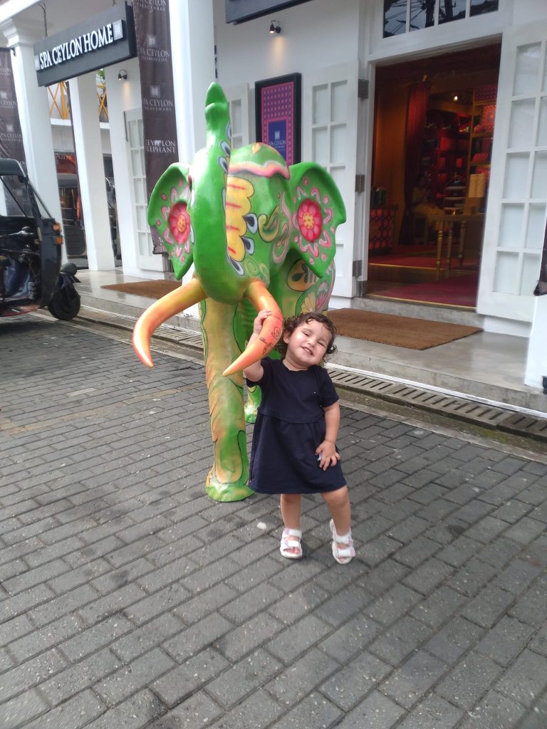 500739945_3541175552681220_7169473332689606224_n