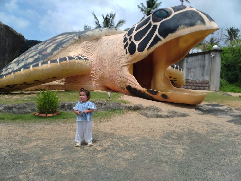 500768105_3541175522681223_6238047612876095489_n