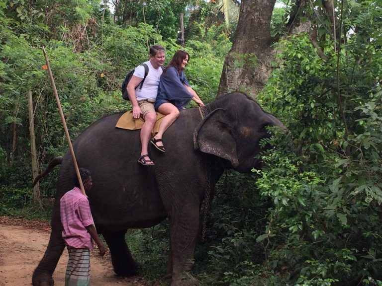 504959891_3557121681086607_8241188139776684418_n