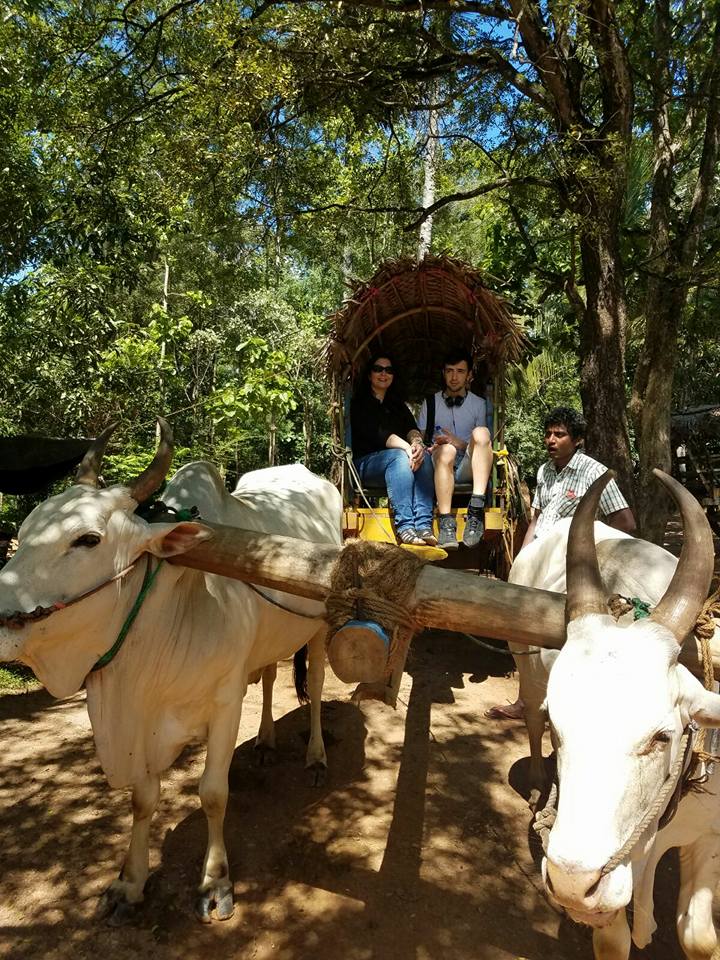 506898919_3570988919699883_2720861352611370279_n