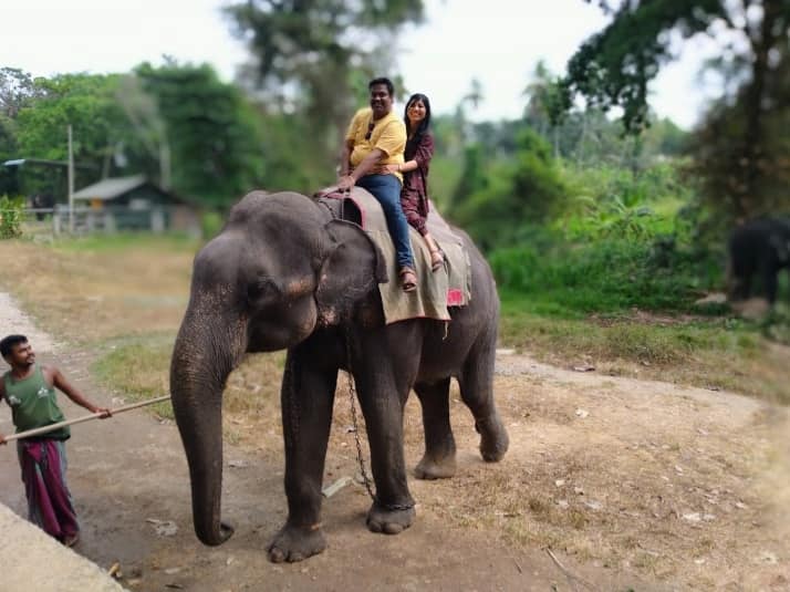 84657541_1794982283967231_4945552552402878464_n