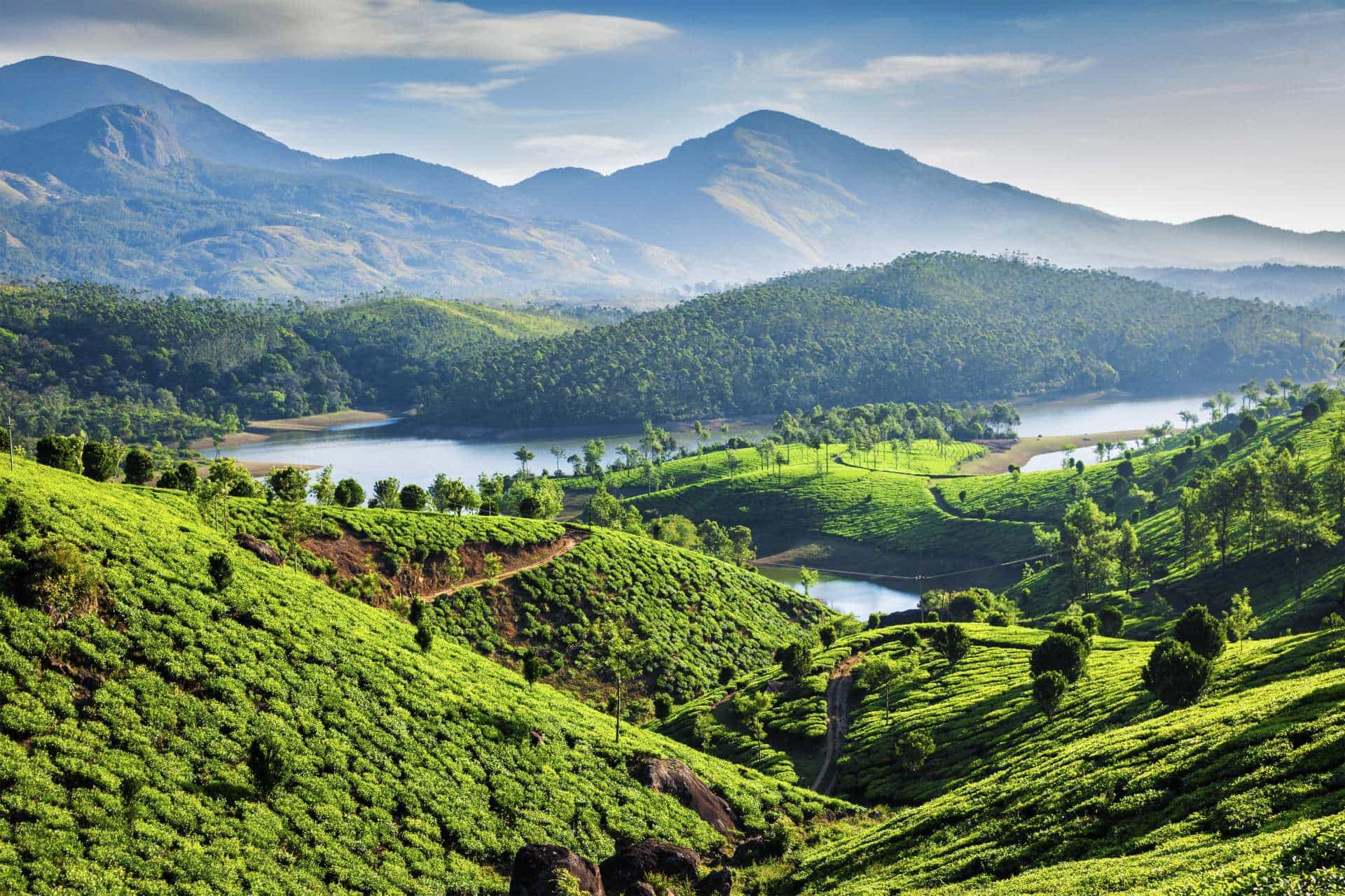 Indian-Odyssey-Tea-plantations-and-river-in-hills-Kerala-India-000086547187_Full-slider