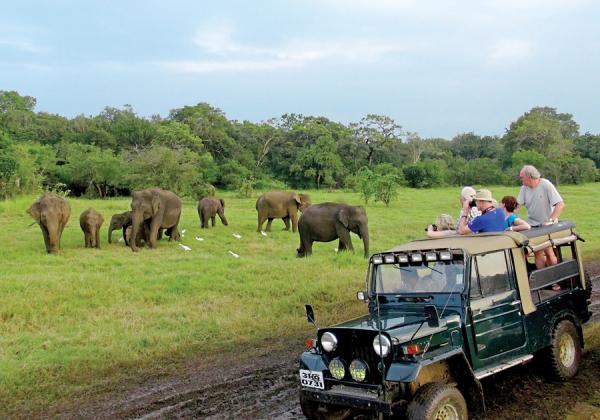 Jeep-Safari-in-Minneriya-National-Park-Sri-Lanka_reference